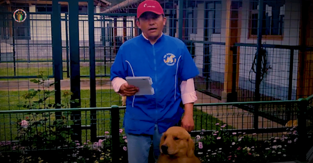 Las 4 patas del éxito!