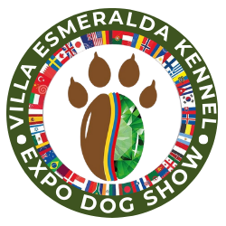 EXPO DOG SHOW